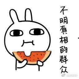 吃瓜文化娱乐,揭秘娱乐圈幕后风云